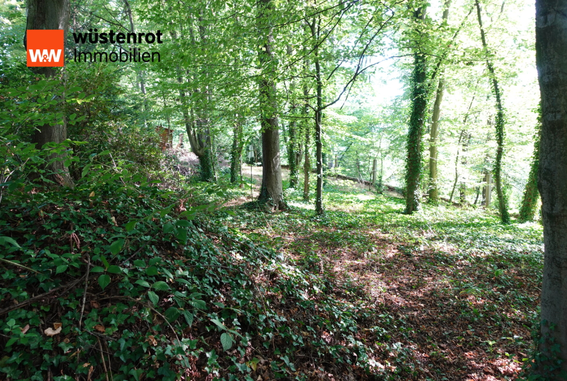 Waldweg durch das Grundstück