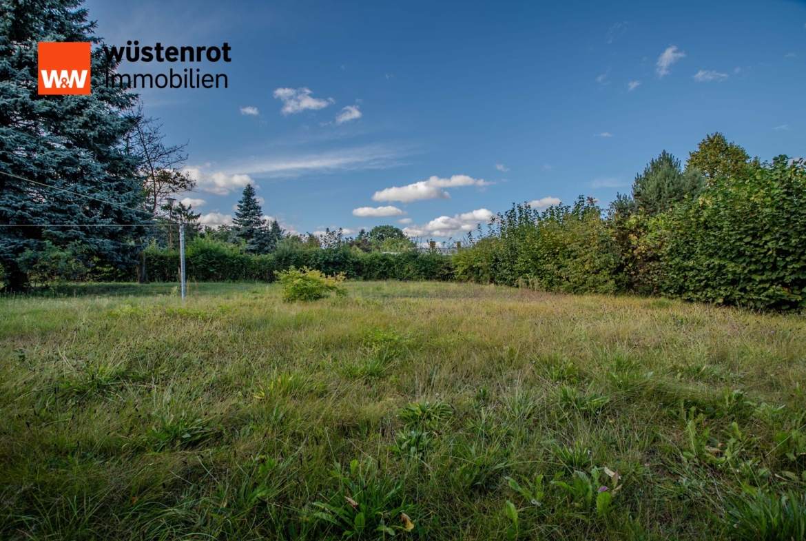 Garten :Baugrundstück