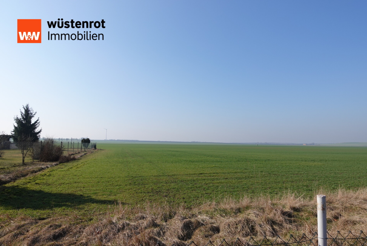 Ausblick