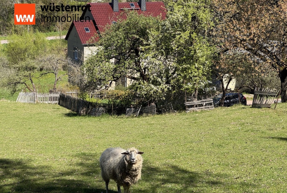 Blick von oberer Wiese auf Wohngebäude - Gast-Schafe können nicht übernommen werden