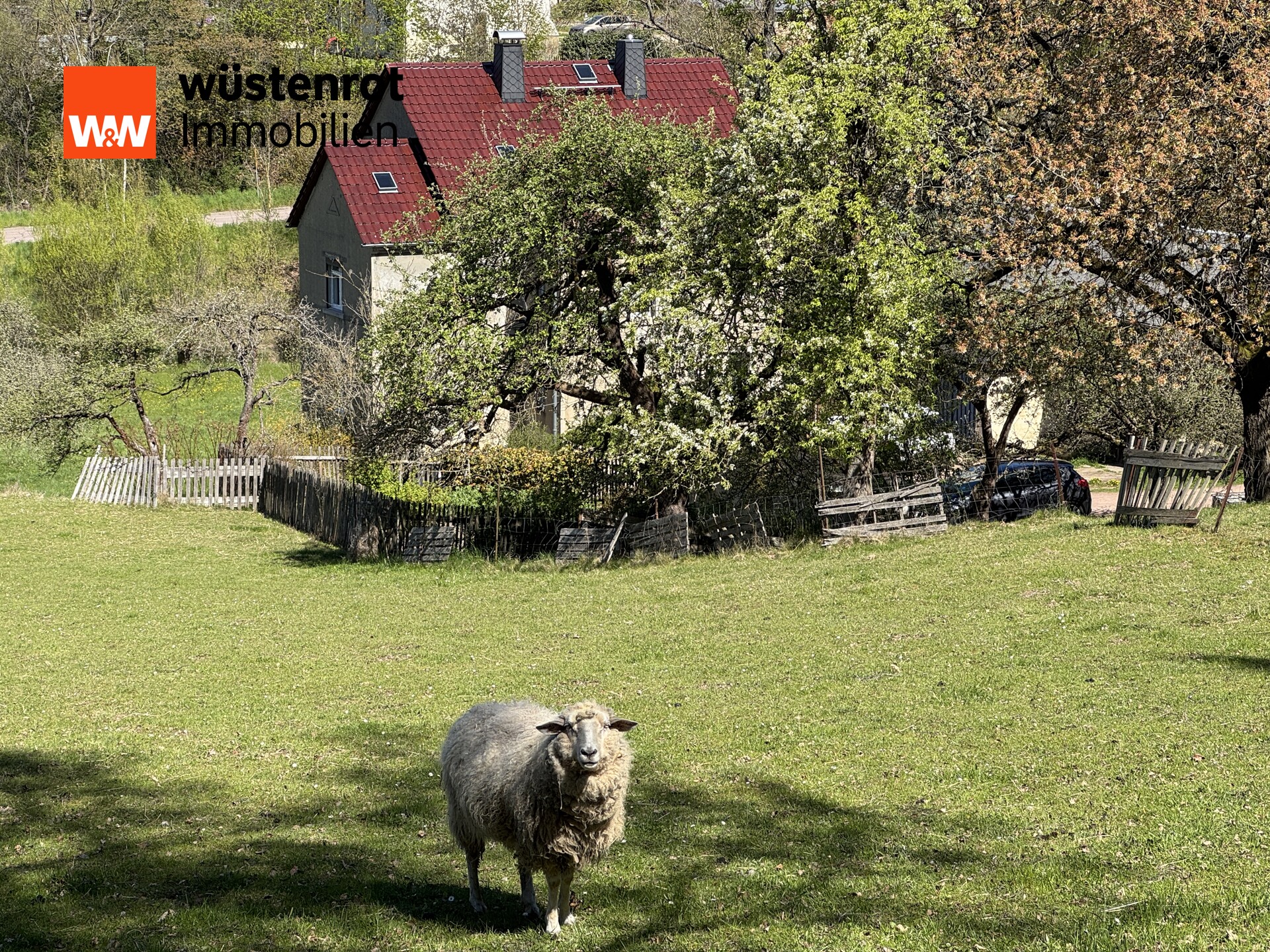 Blick von oberer Wiese auf Wohngebäude - Gast-Schafe können nicht übernommen werden