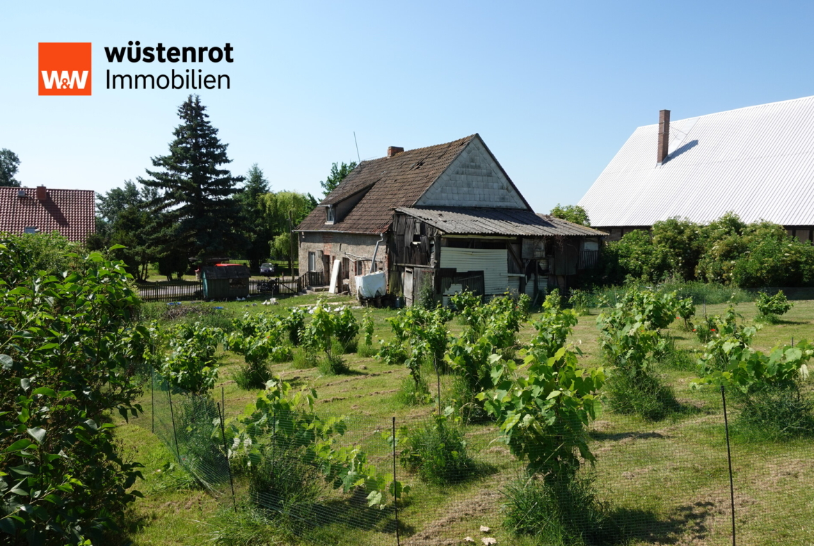 2. Grundstück: Garten