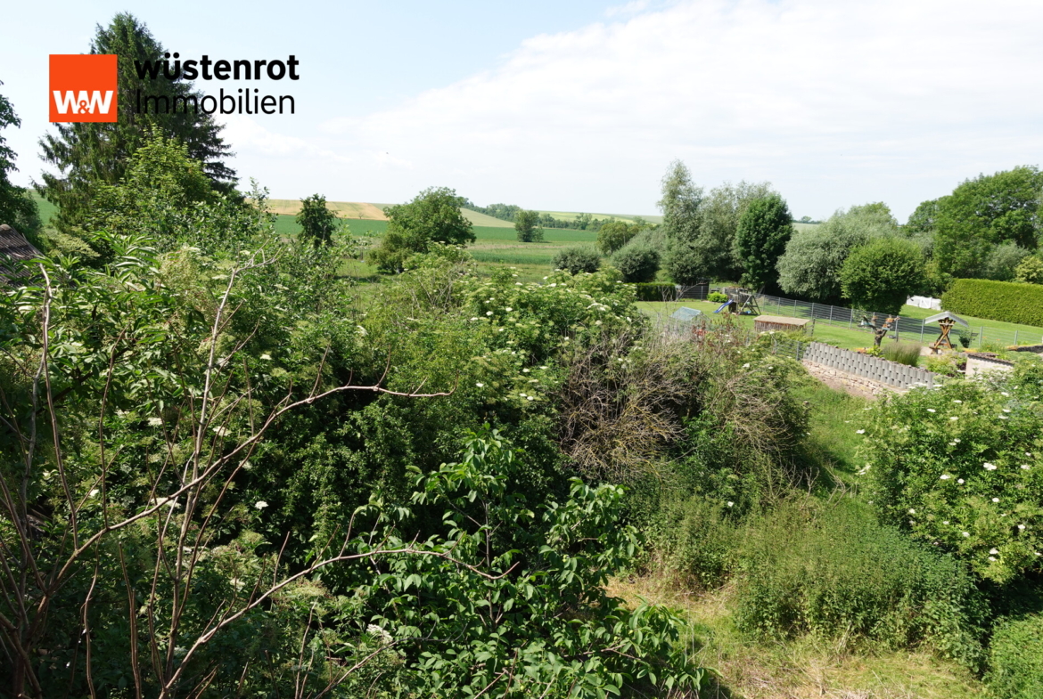 Blick in den Garten